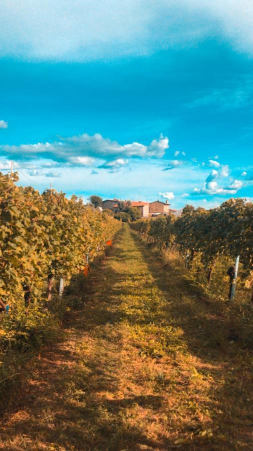 Agriturismo B&B Le Casette Sul Garda カヴァイオーン・ヴェロネーゼ エクステリア 写真