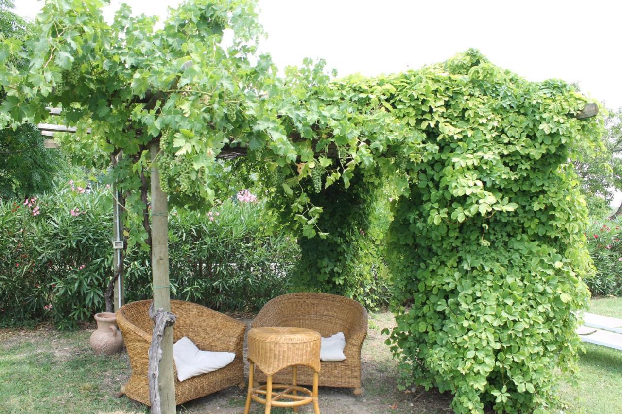 Agriturismo B&B Le Casette Sul Garda カヴァイオーン・ヴェロネーゼ エクステリア 写真