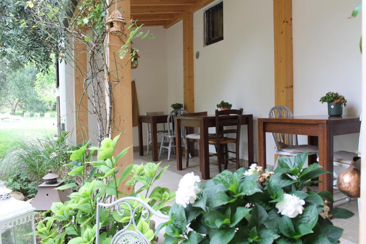 Agriturismo B&B Le Casette Sul Garda カヴァイオーン・ヴェロネーゼ エクステリア 写真