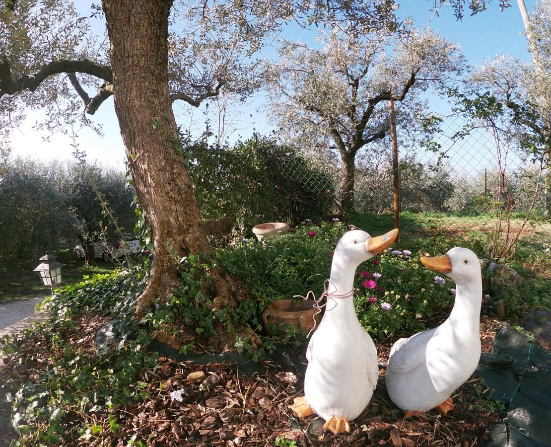 Agriturismo B&B Le Casette Sul Garda カヴァイオーン・ヴェロネーゼ エクステリア 写真